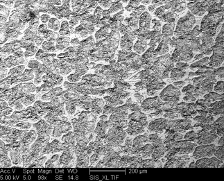 /static/micrographs/micrograph1718.png