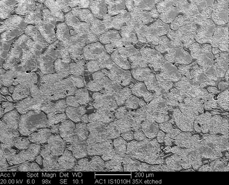 /static/micrographs/micrograph1719.png
