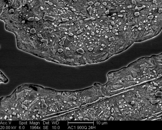 /static/micrographs/micrograph172.png