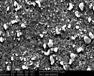 /static/micrographs/micrograph1720.png