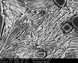 /static/micrographs/micrograph1721.png