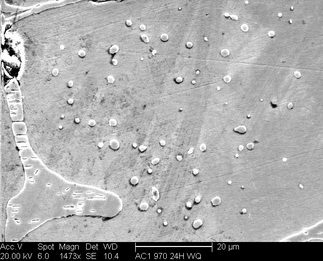 /static/micrographs/micrograph1722.png