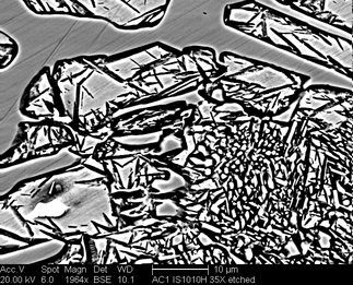 /static/micrographs/micrograph1723.png