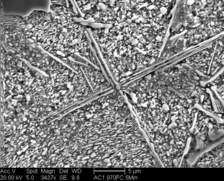 /static/micrographs/micrograph1726.png