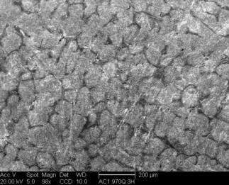 /static/micrographs/micrograph173.png
