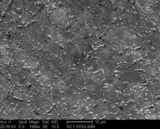 /static/micrographs/micrograph1730.png