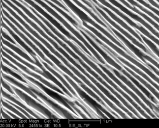 /static/micrographs/micrograph1731.png
