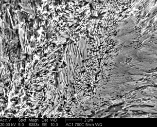 /static/micrographs/micrograph1732.png