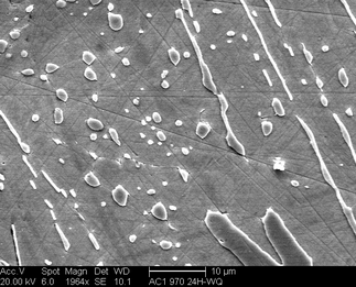 /static/micrographs/micrograph178.png