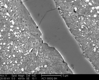 /static/micrographs/micrograph184.png