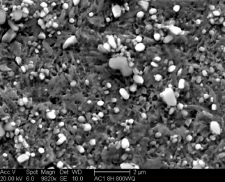 /static/micrographs/micrograph185.png