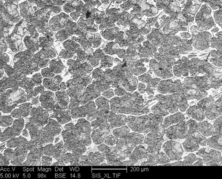 /static/micrographs/micrograph189.png