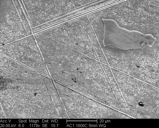 /static/micrographs/micrograph191.png
