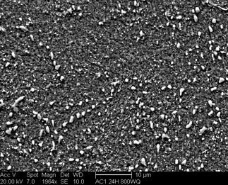 /static/micrographs/micrograph192.png