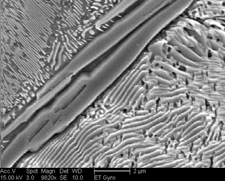 /static/micrographs/micrograph194.png