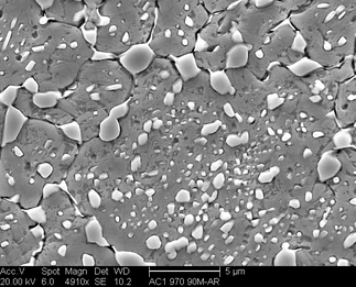 /static/micrographs/micrograph195.png