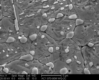 /static/micrographs/micrograph196.png