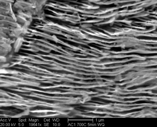 /static/micrographs/micrograph198.png
