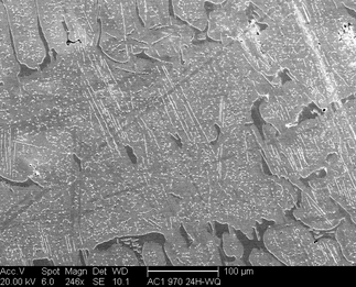 /static/micrographs/micrograph200.png