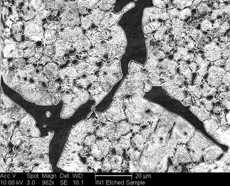 /static/micrographs/micrograph201.png