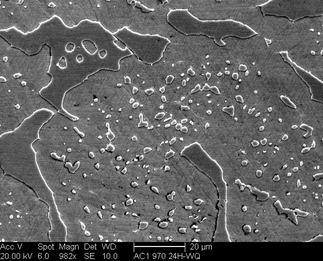 /static/micrographs/micrograph202.png