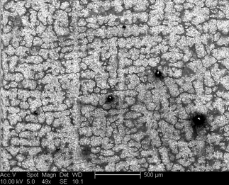 /static/micrographs/micrograph204.png