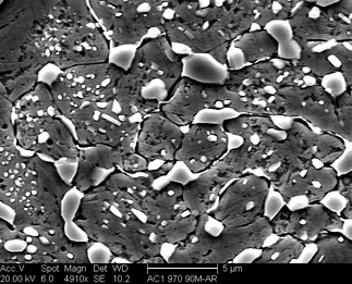 /static/micrographs/micrograph209.png