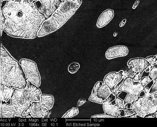 /static/micrographs/micrograph211.png