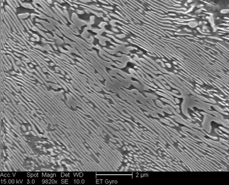 /static/micrographs/micrograph212.png