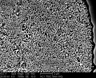 /static/micrographs/micrograph218.png