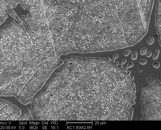 /static/micrographs/micrograph220.png