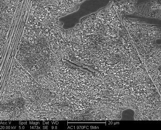 /static/micrographs/micrograph221.png
