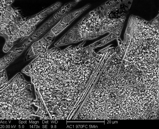/static/micrographs/micrograph222.png