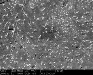 /static/micrographs/micrograph223.png