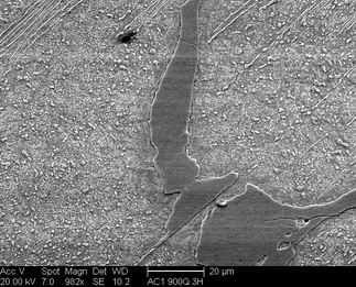 /static/micrographs/micrograph231.png