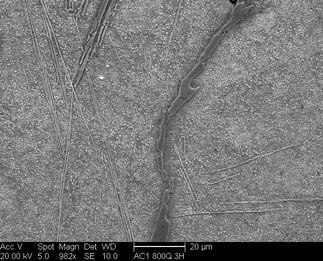 /static/micrographs/micrograph233.png