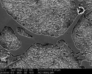 /static/micrographs/micrograph234.png