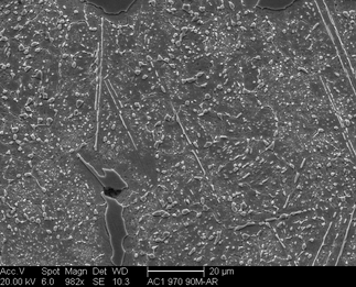 /static/micrographs/micrograph235.png