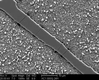 /static/micrographs/micrograph237.png