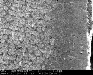 /static/micrographs/micrograph24.png