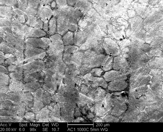 /static/micrographs/micrograph242.png