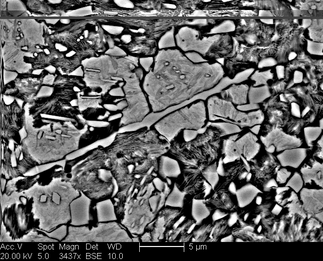 /static/micrographs/micrograph245.png