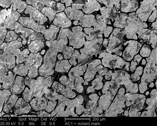 /static/micrographs/micrograph251.png