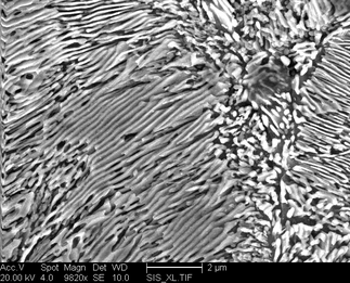 /static/micrographs/micrograph252.png
