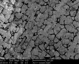 /static/micrographs/micrograph253.png