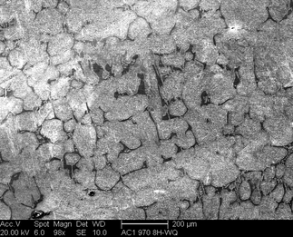 /static/micrographs/micrograph255.png