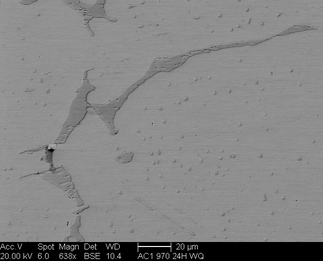 /static/micrographs/micrograph257.png