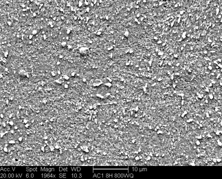 /static/micrographs/micrograph261.png