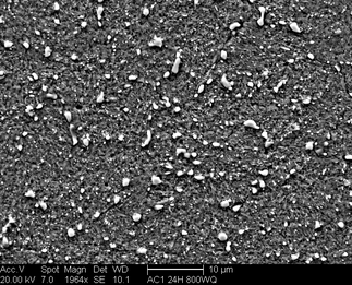 /static/micrographs/micrograph265.png