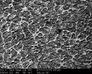 /static/micrographs/micrograph269.png